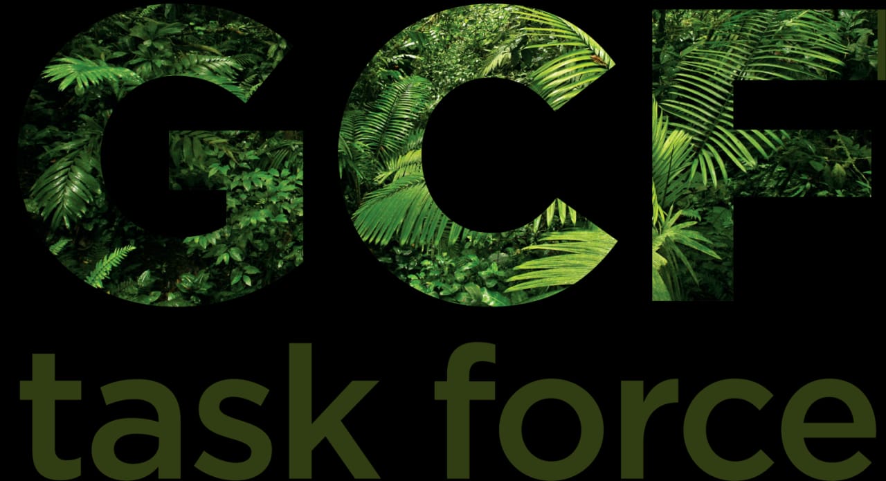 Apresentação Internacional do Programa Tesouro Verde